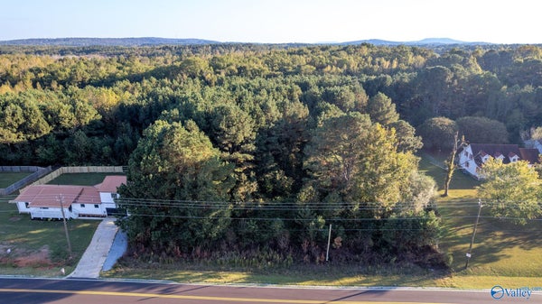 436 WILL RABY RD, TONEY, AL 35773 - Image b66bee79bb360665c759779db2d714d1/1689208176