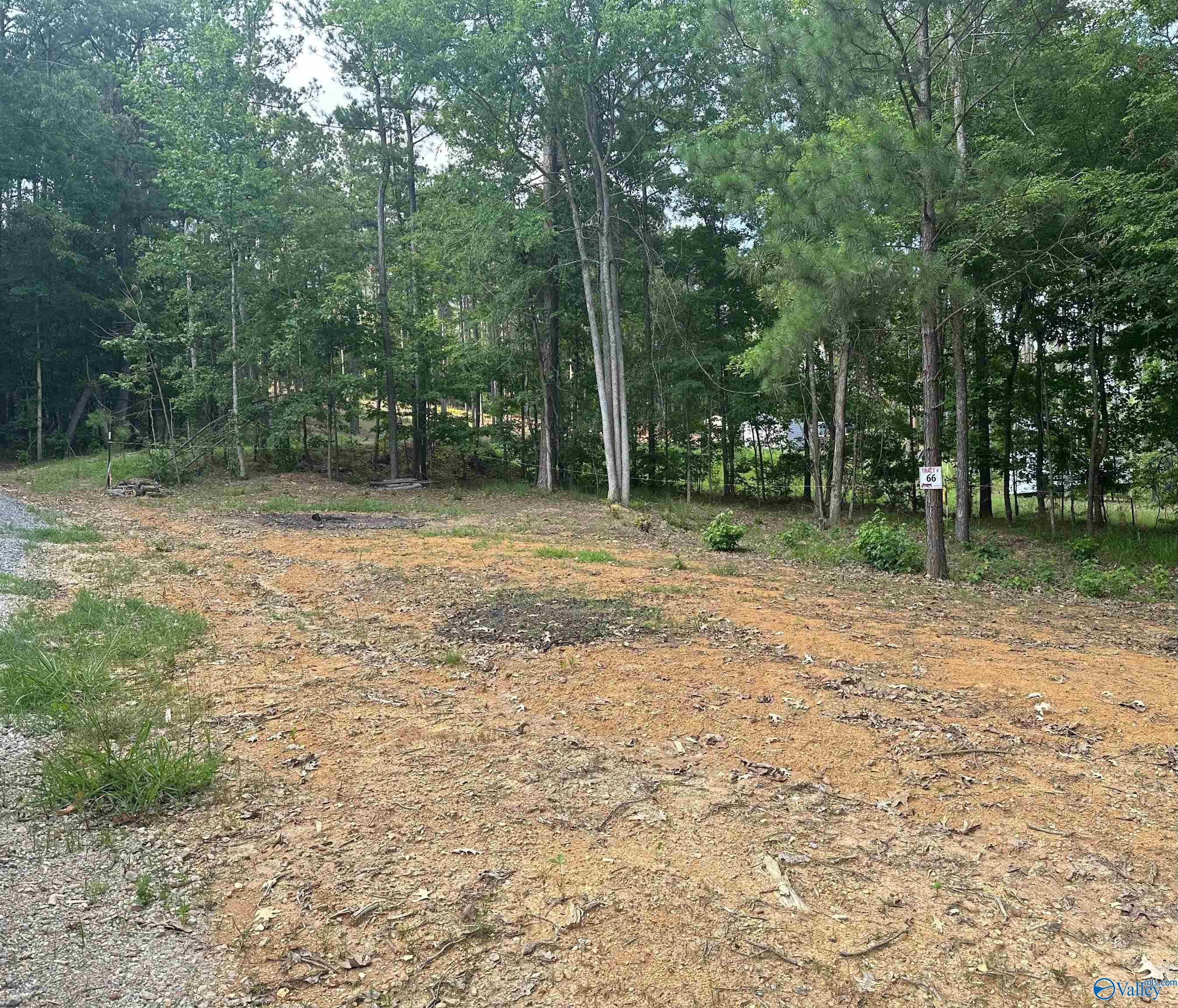 1725 County Road 182 #LOT 66, Cedar Bluff, Alabama image 1