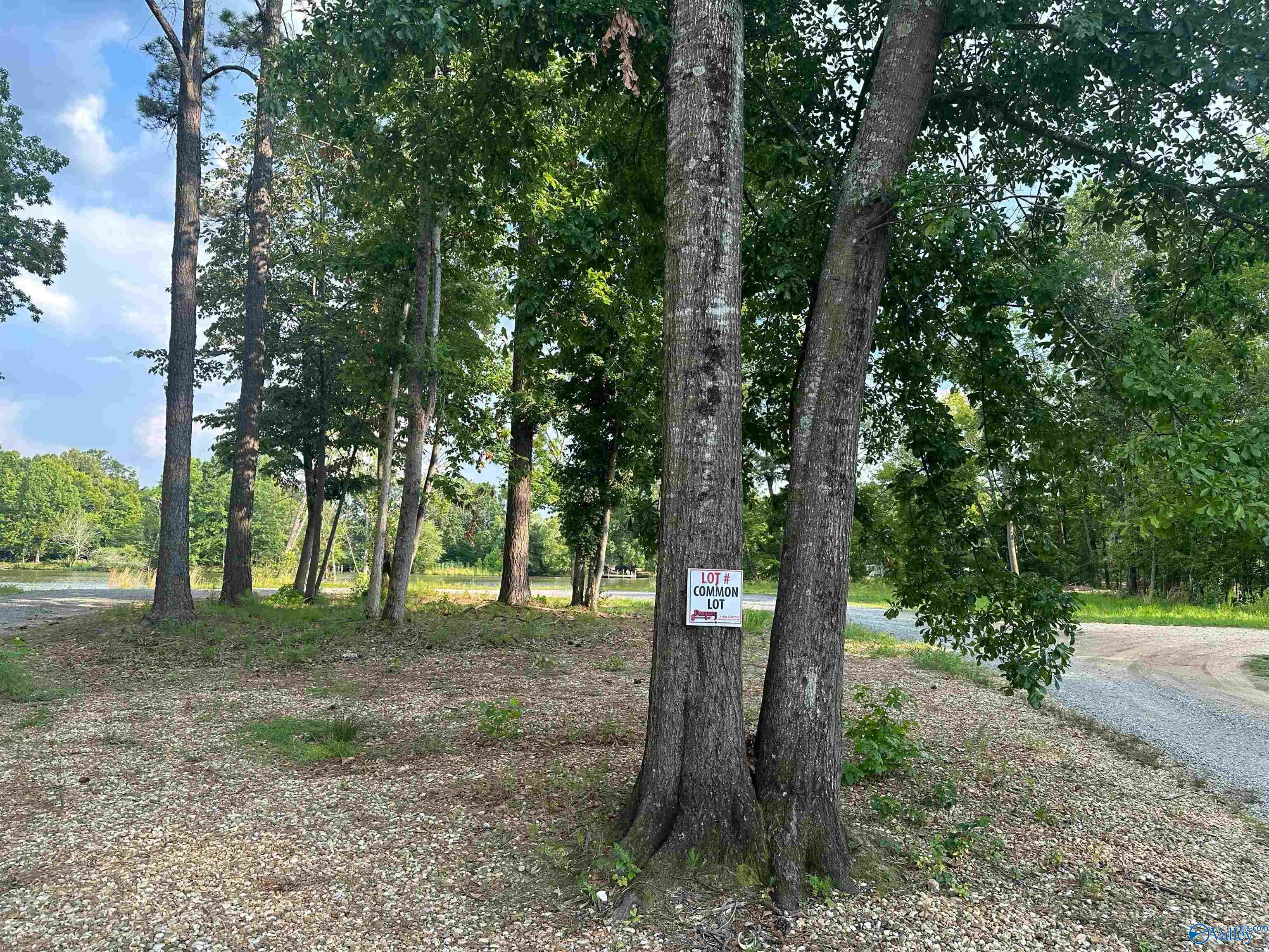 1725 County Road 182 #LOT 66, Cedar Bluff, Alabama image 4