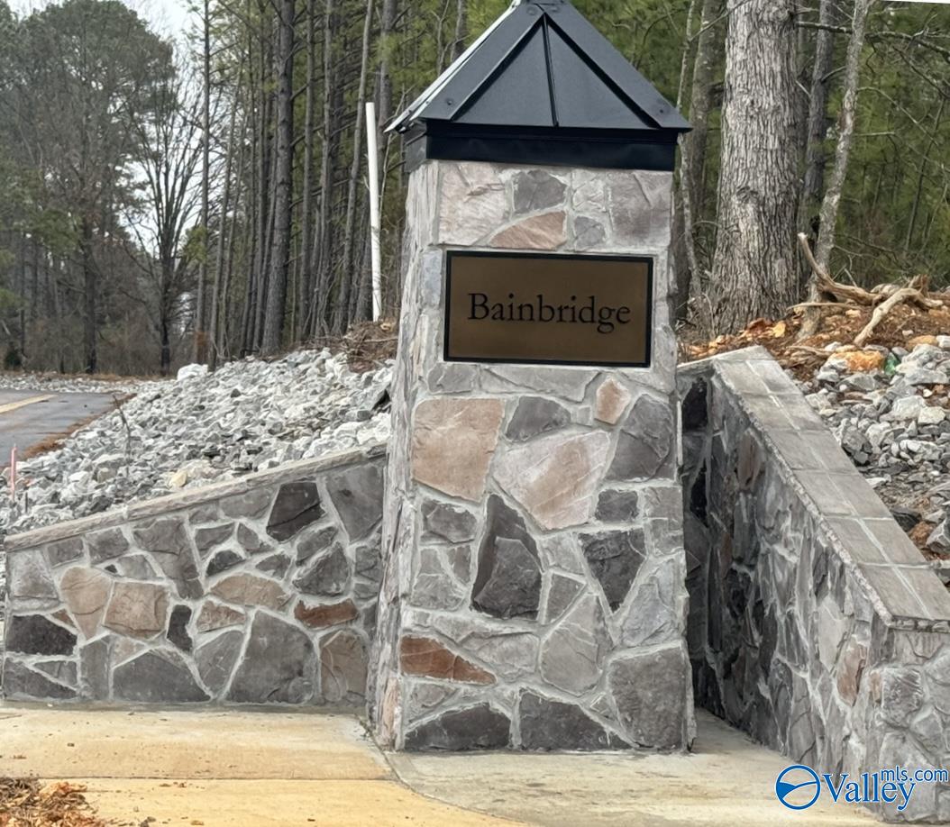 21348 Old Poseidon Lane, Athens, Alabama image 32