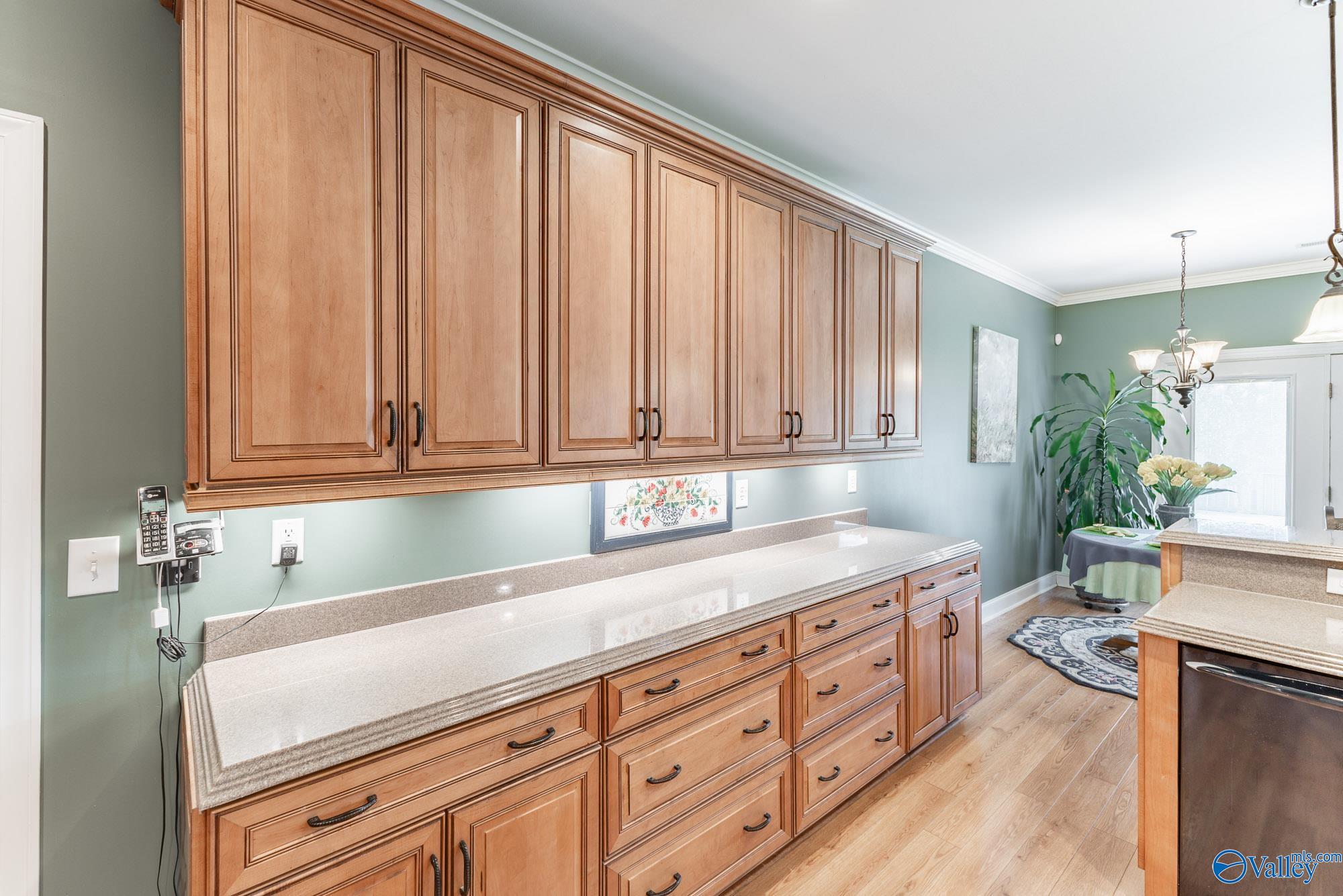 2203 Sorrento Place, Decatur, Alabama image 12