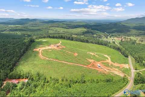 Photo of 7340 County Road 6, Piedmont, AL 36272 (MLS # 21913521)