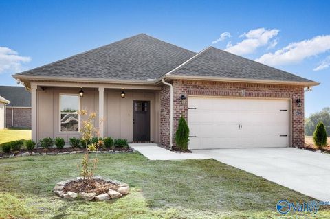 Homes For Sale - 15640 Bees Street<br/> Harvest, AL 35749