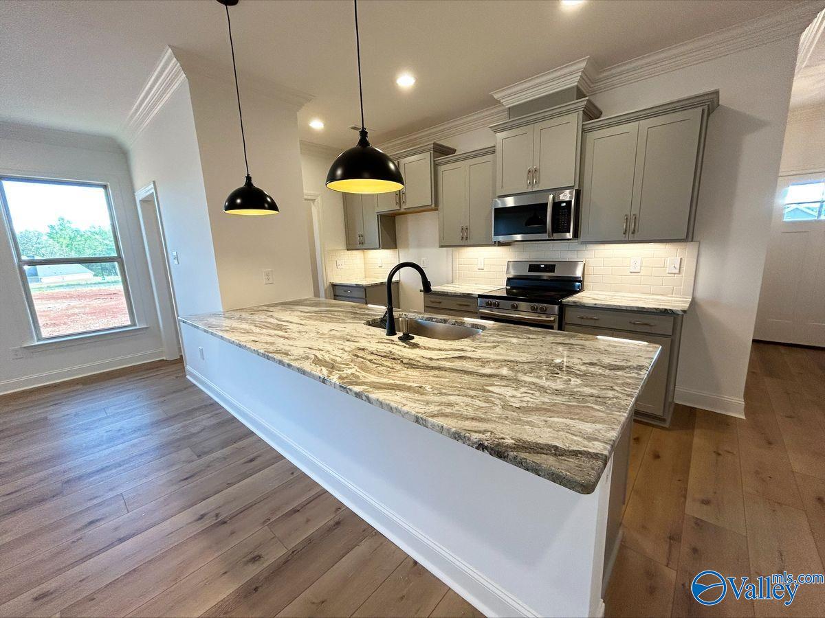 15640 Bees Street, Harvest, Alabama image 3