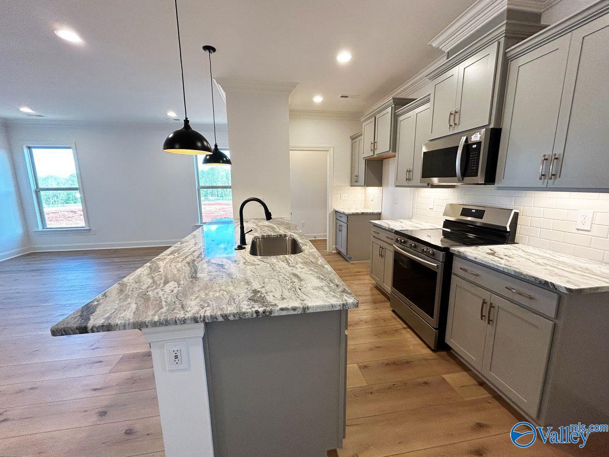 15640 Bees Street, Harvest, Alabama image 2