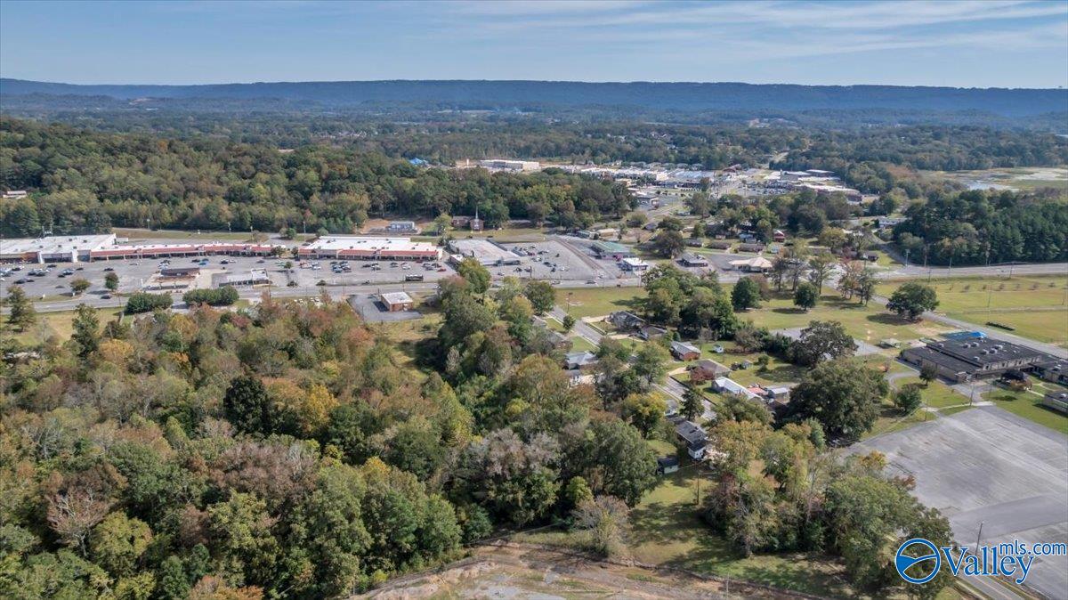 Scottsboro, Alabama 35768, United States, ,Commercial,Active,239560