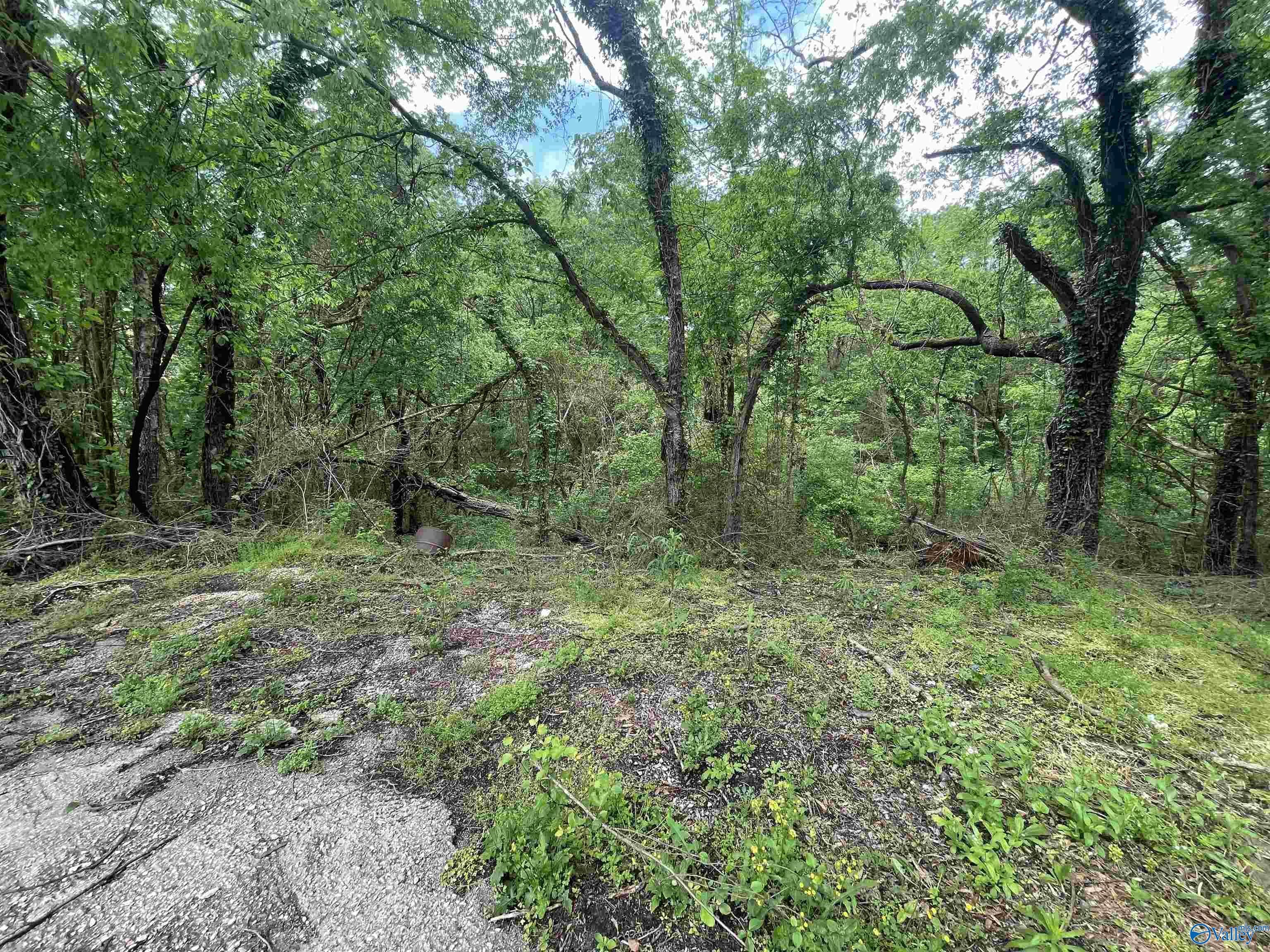Lot 9 Adams Street, Cherokee, Alabama image 5