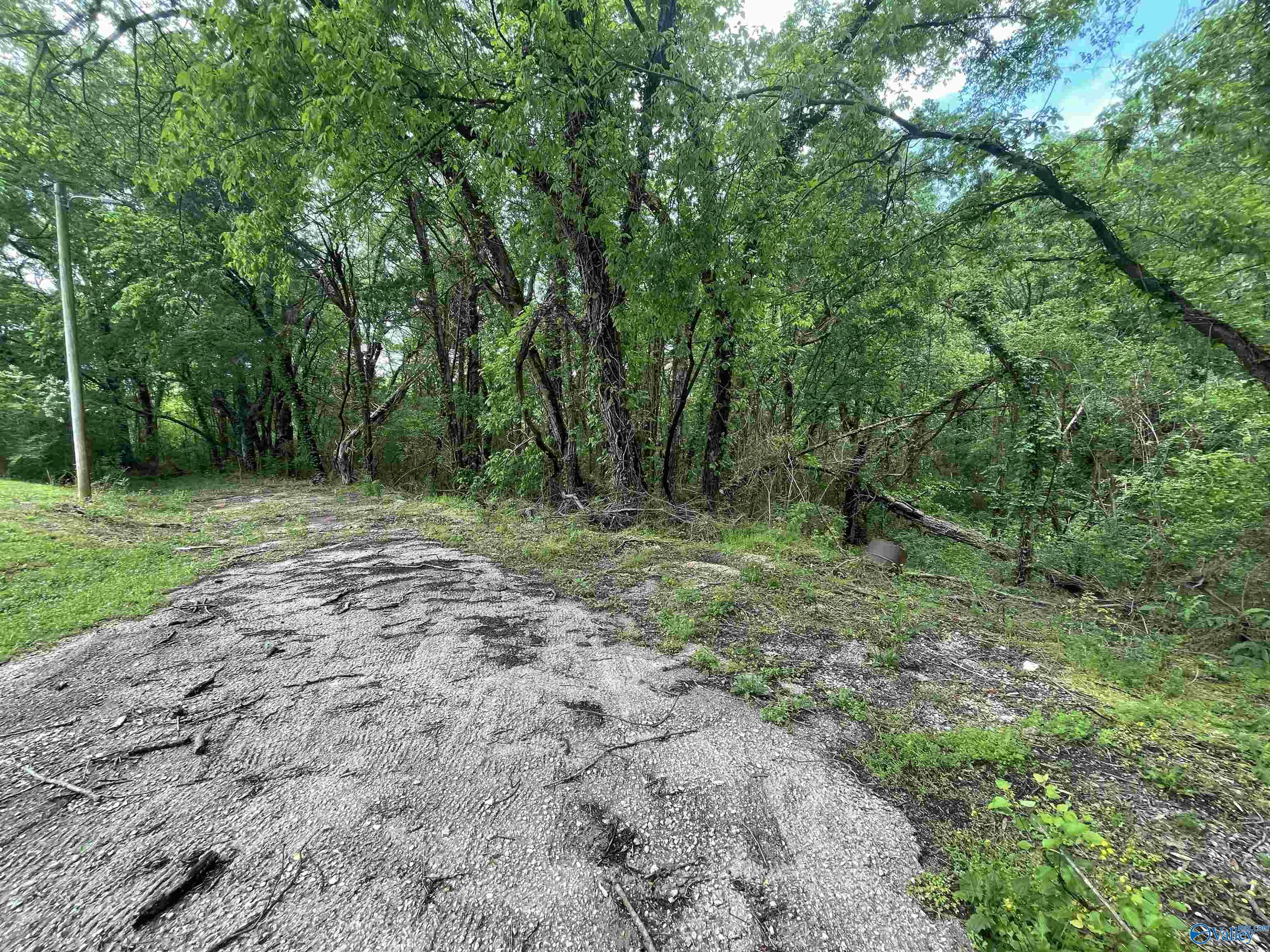 Lot 9 Adams Street, Cherokee, Alabama image 6