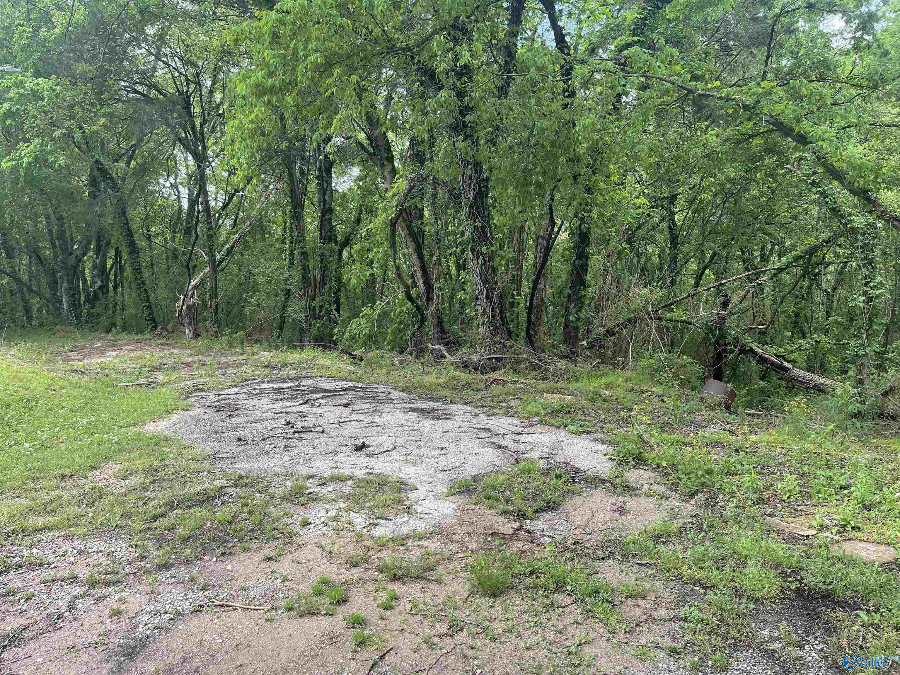 Lot 9 Adams Street, Cherokee, Alabama image 3