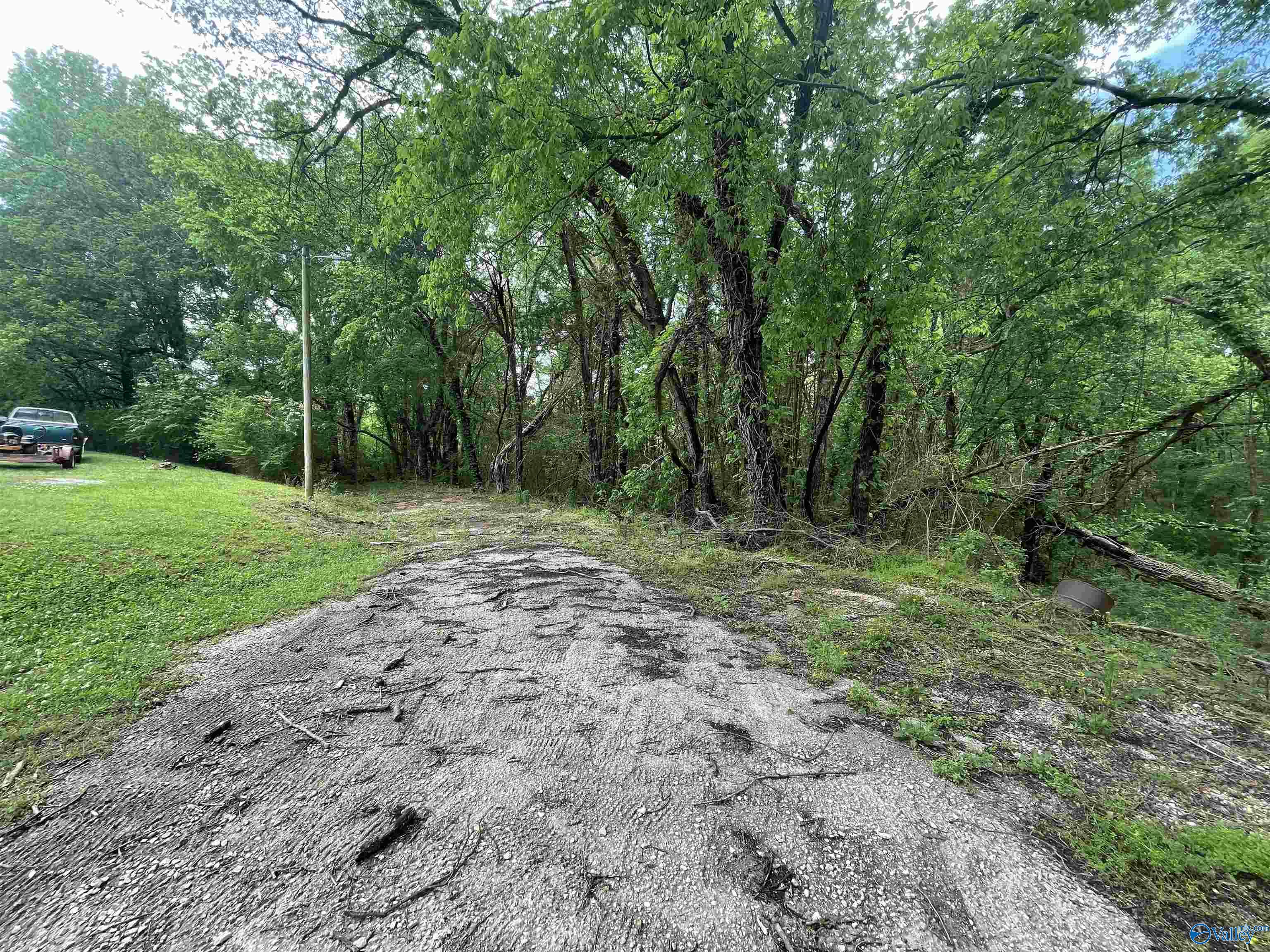 Lot 9 Adams Street, Cherokee, Alabama image 7