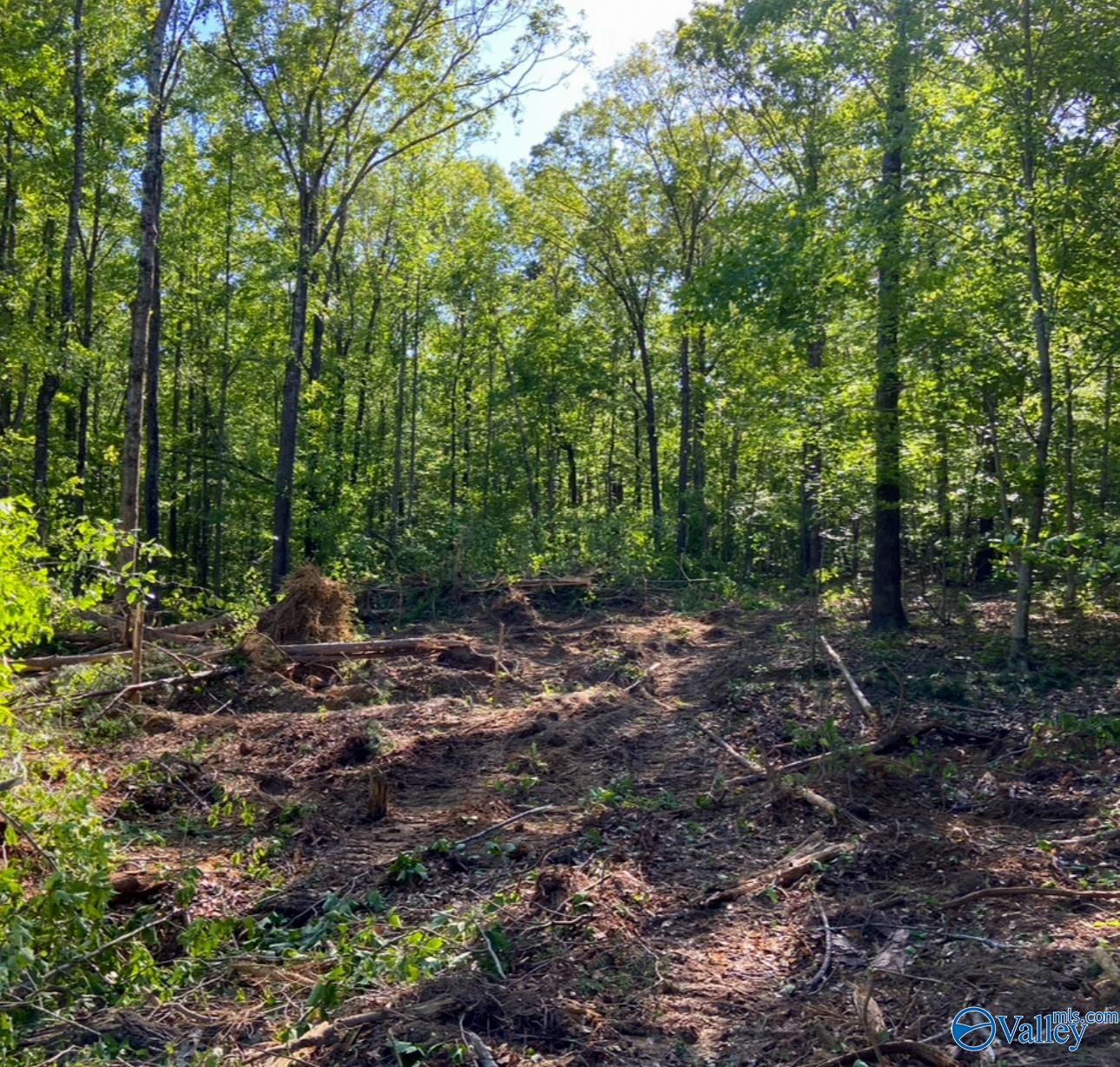 1 Acre County Road 279, Moulton, Alabama image 1