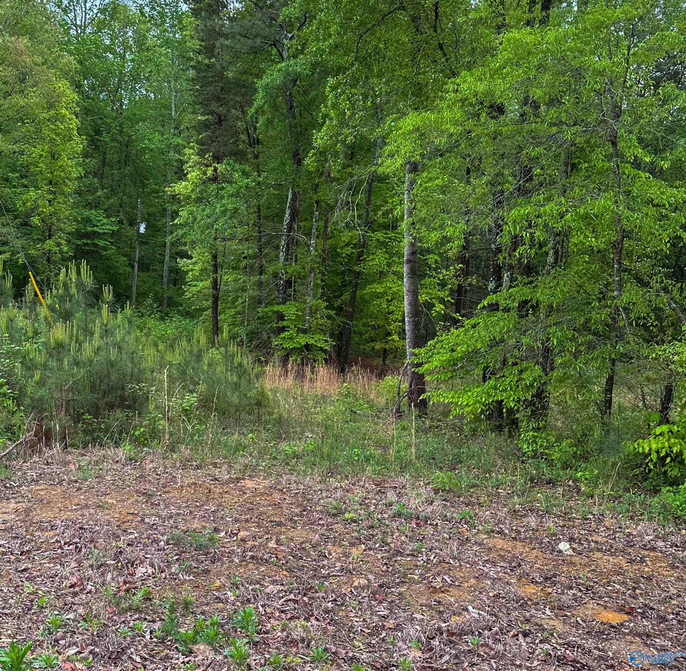 1 Acre County Road 279, Moulton, Alabama image 2