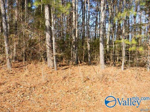Vacant Land For Sale - 18.52 ACRES County Road 41<br/> Gaylesville, AL 35973