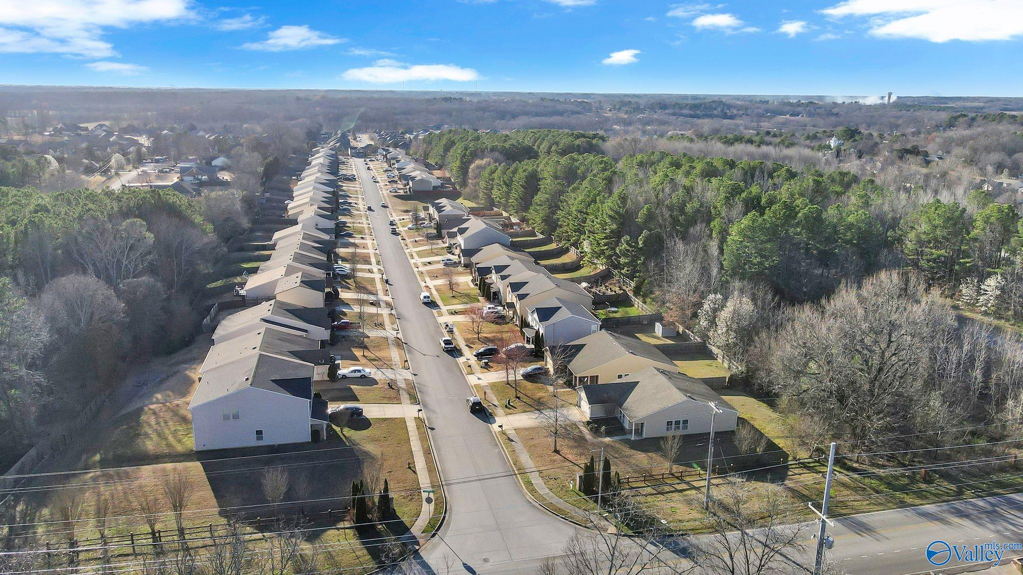 30037 Westfield Drive, Harvest, Alabama image 5