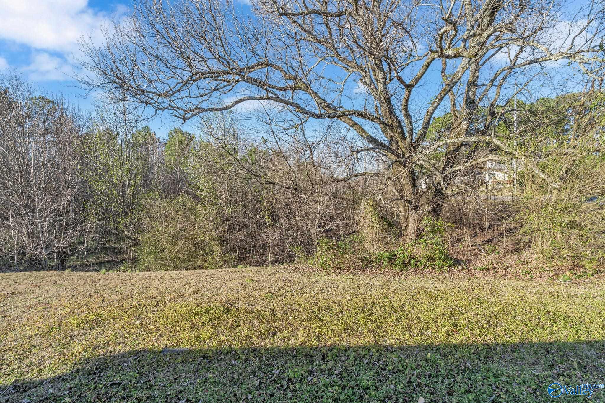 30037 Westfield Drive, Harvest, Alabama image 30