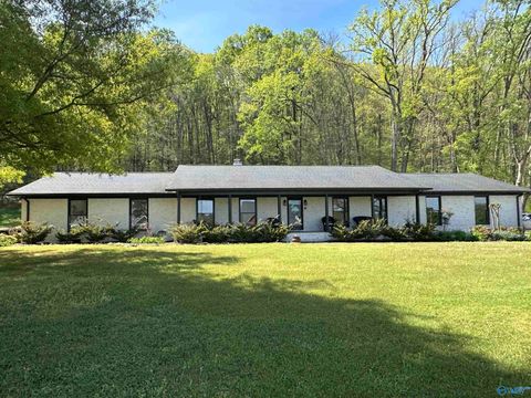6496 Spring Creek Drive Guntersville AL 35976