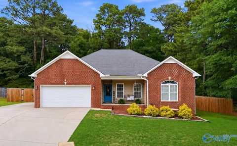 Homes For Sale - 1201 Hunter Lane<br/> Morgan County, Hartselle, AL 35640