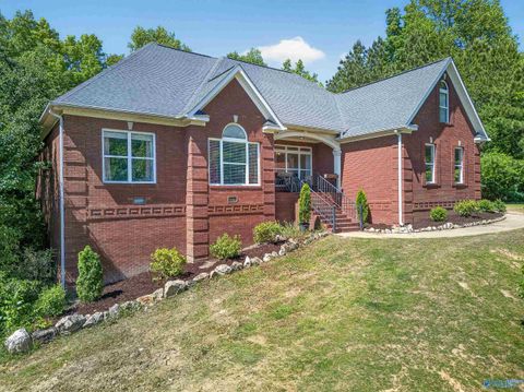 Homes For Sale - 6074 Chula Vista Road<br/> Southside, AL 35907