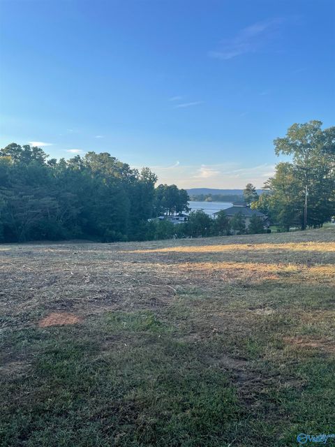 Vacant Land For Sale - LOT 48 Onondaga Circle<br/> Langston, AL 35755