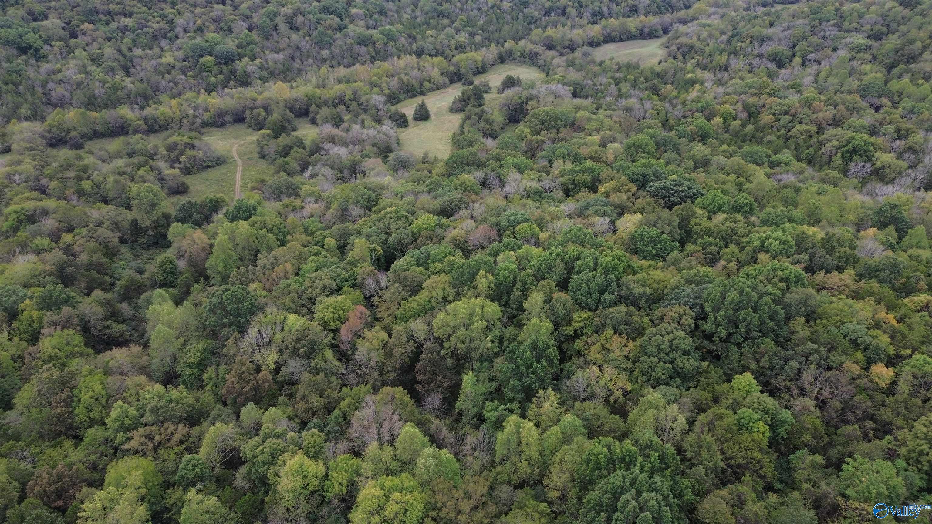 174 Ac Massey Hollow Road, Kelso, Tennessee image 3