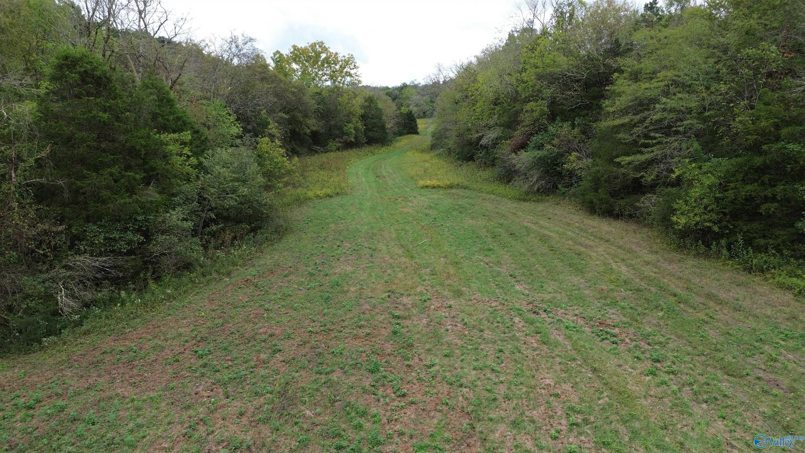 174 Ac Massey Hollow Road, Kelso, Tennessee image 6