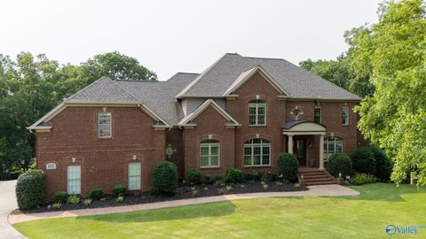 Photo of 115 Grand Cove Place, Madison, AL 35758 (MLS # 21911168)