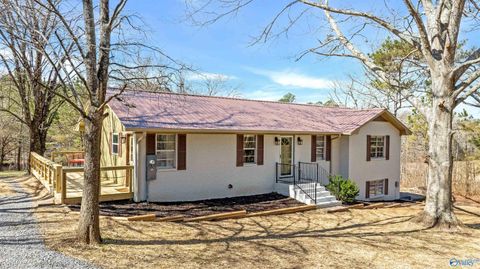 Photo of 3301 County Road 106, Mentone, AL 35984 (MLS # 21910632)