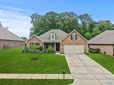 Photo of 161 Dustin Lane, Madison, AL 35757 (MLS # 21917030)