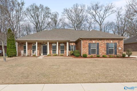 Photo of 4735 Autumn Dusk Drive SE, Owens Cross Roads, AL 35763 (MLS # 21912207)