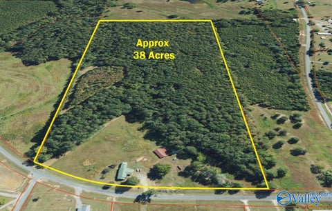 Homes For Sale - 180 Mountainboro Road<br/> Boaz, AL 35956