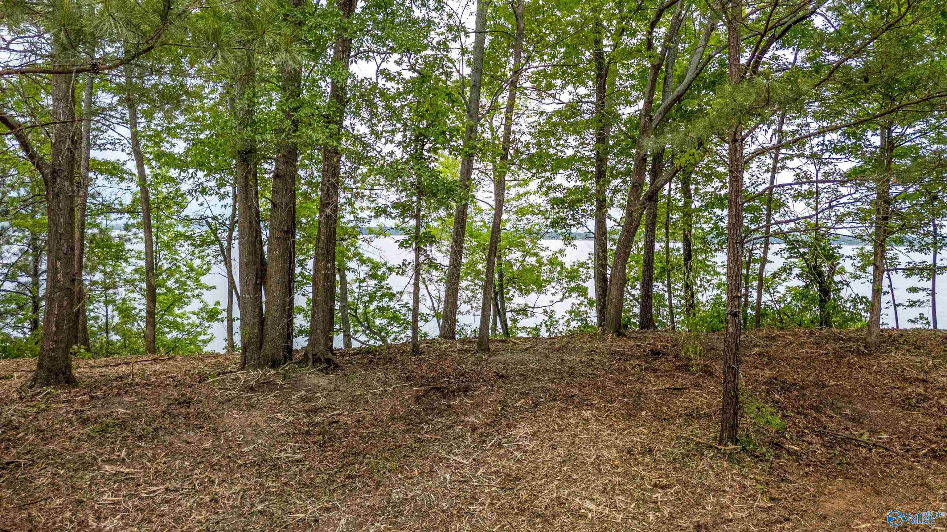 1.12 ACRES County Road 462, Centre, Alabama image 8