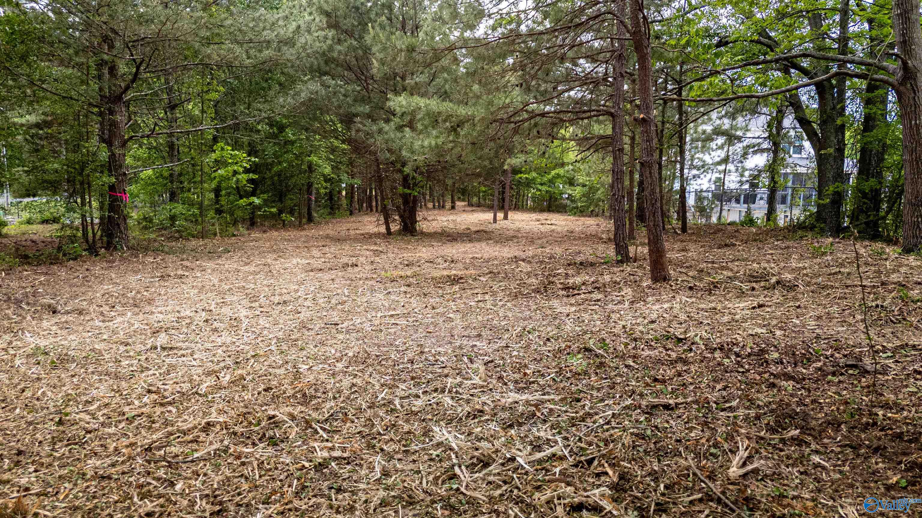1.12 ACRES County Road 462, Centre, Alabama image 12