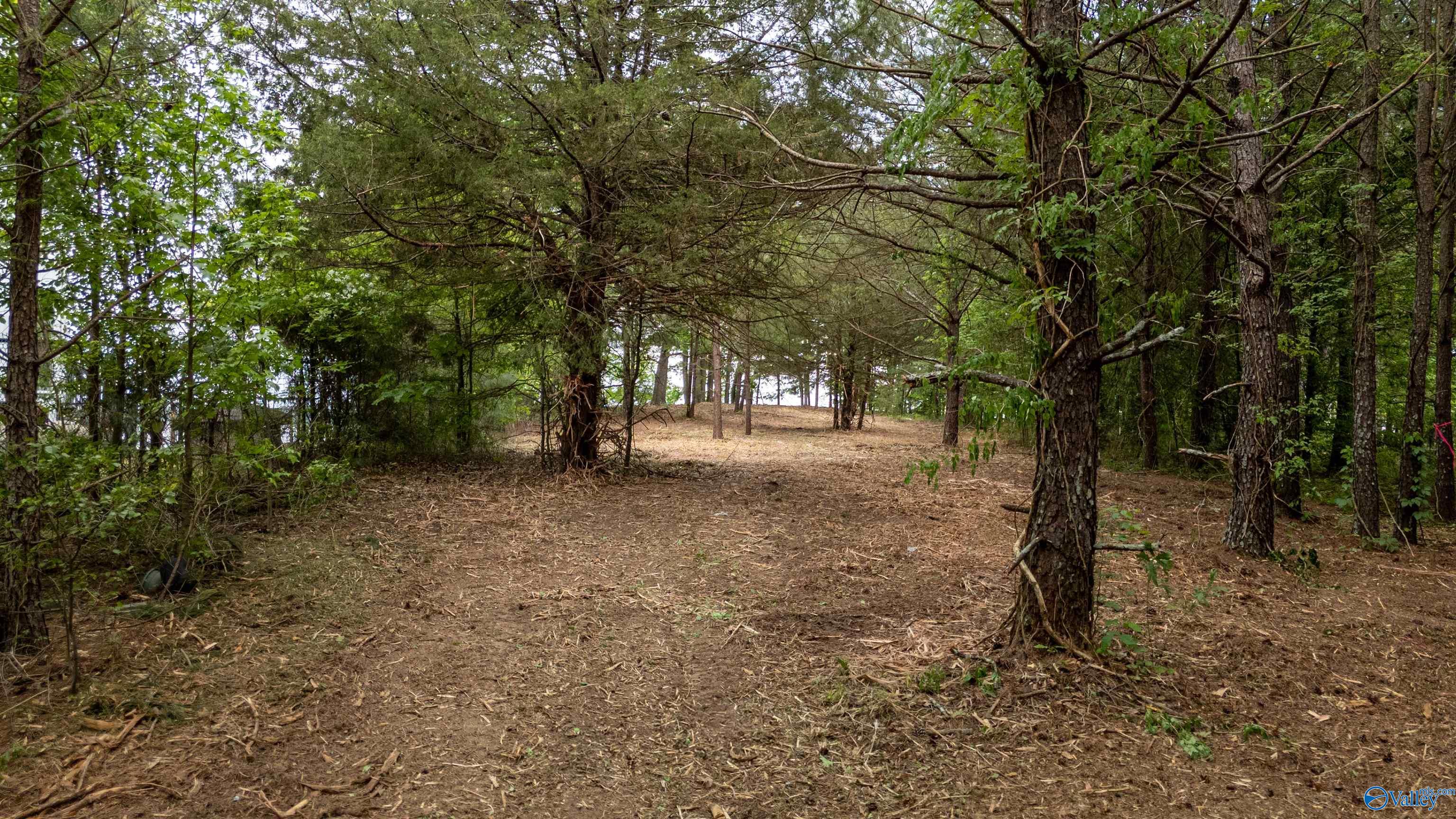 1.12 ACRES County Road 462, Centre, Alabama image 5