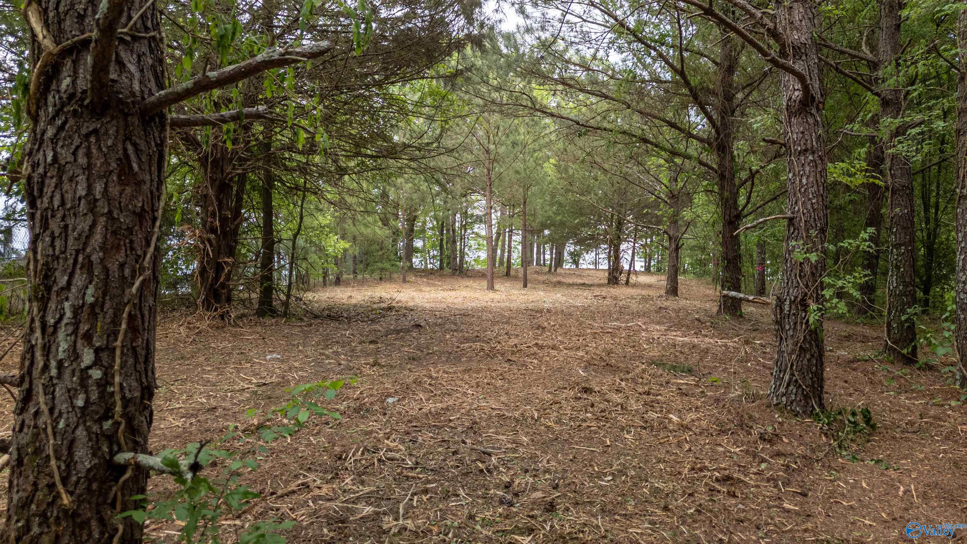 1.12 ACRES County Road 462, Centre, Alabama image 6