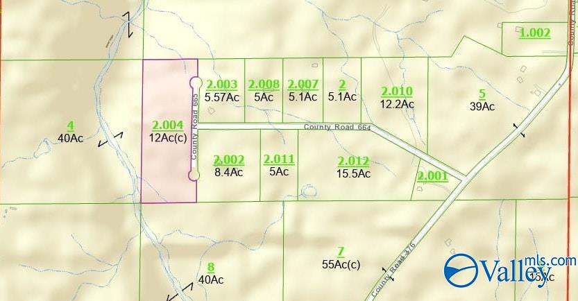 12 ACRES County Road 665, Pisgah, Alabama image 16