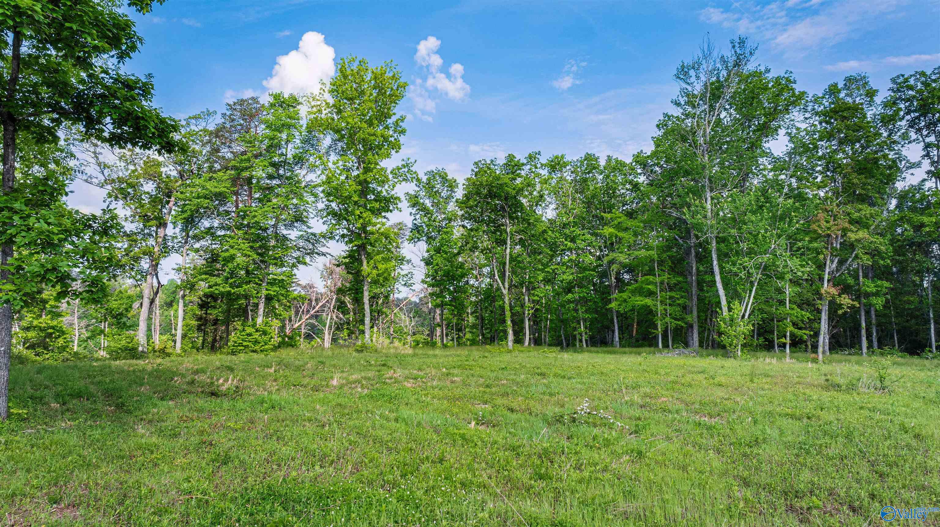 12 ACRES County Road 665, Pisgah, Alabama image 1