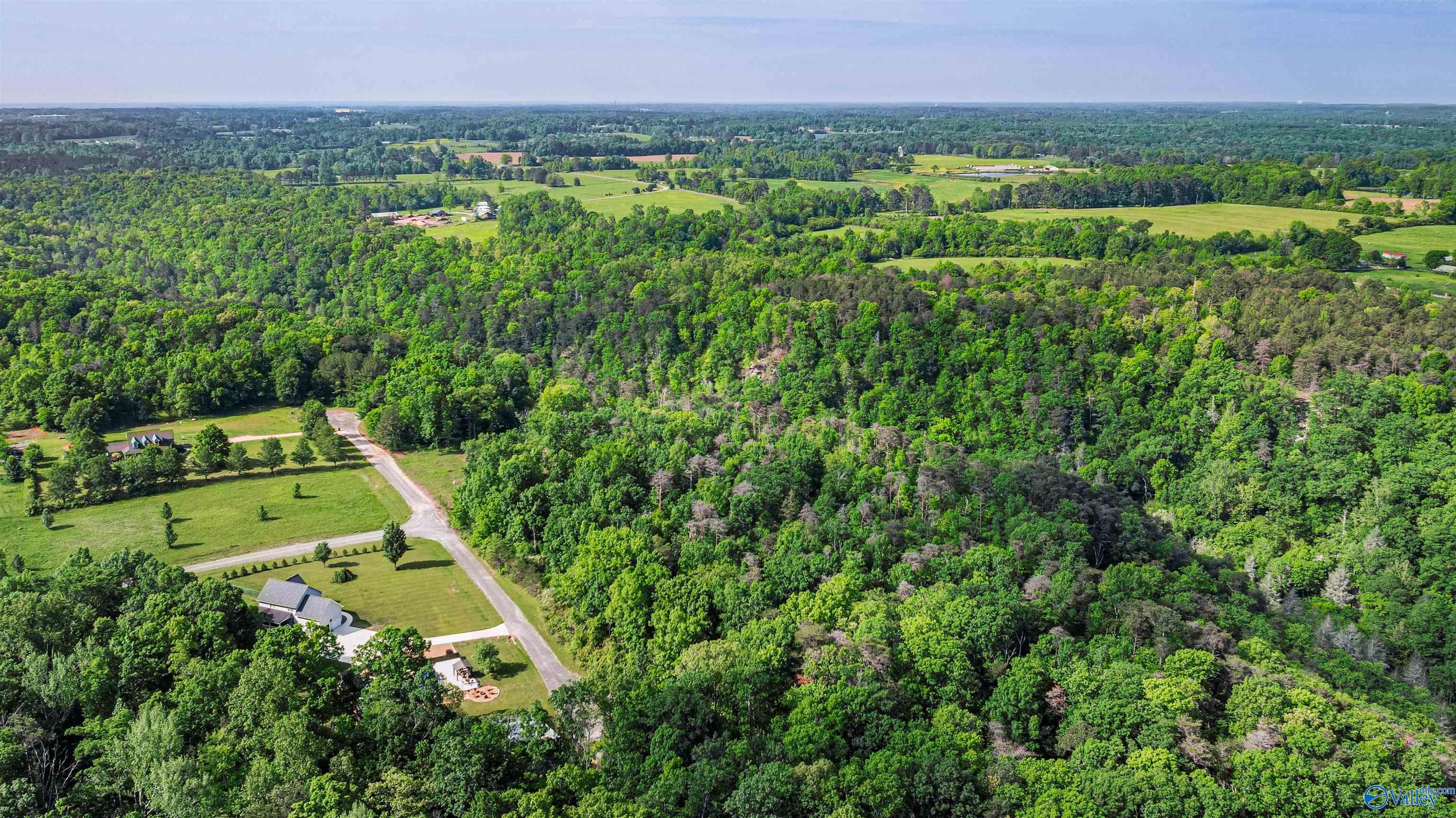 12 ACRES County Road 665, Pisgah, Alabama image 10