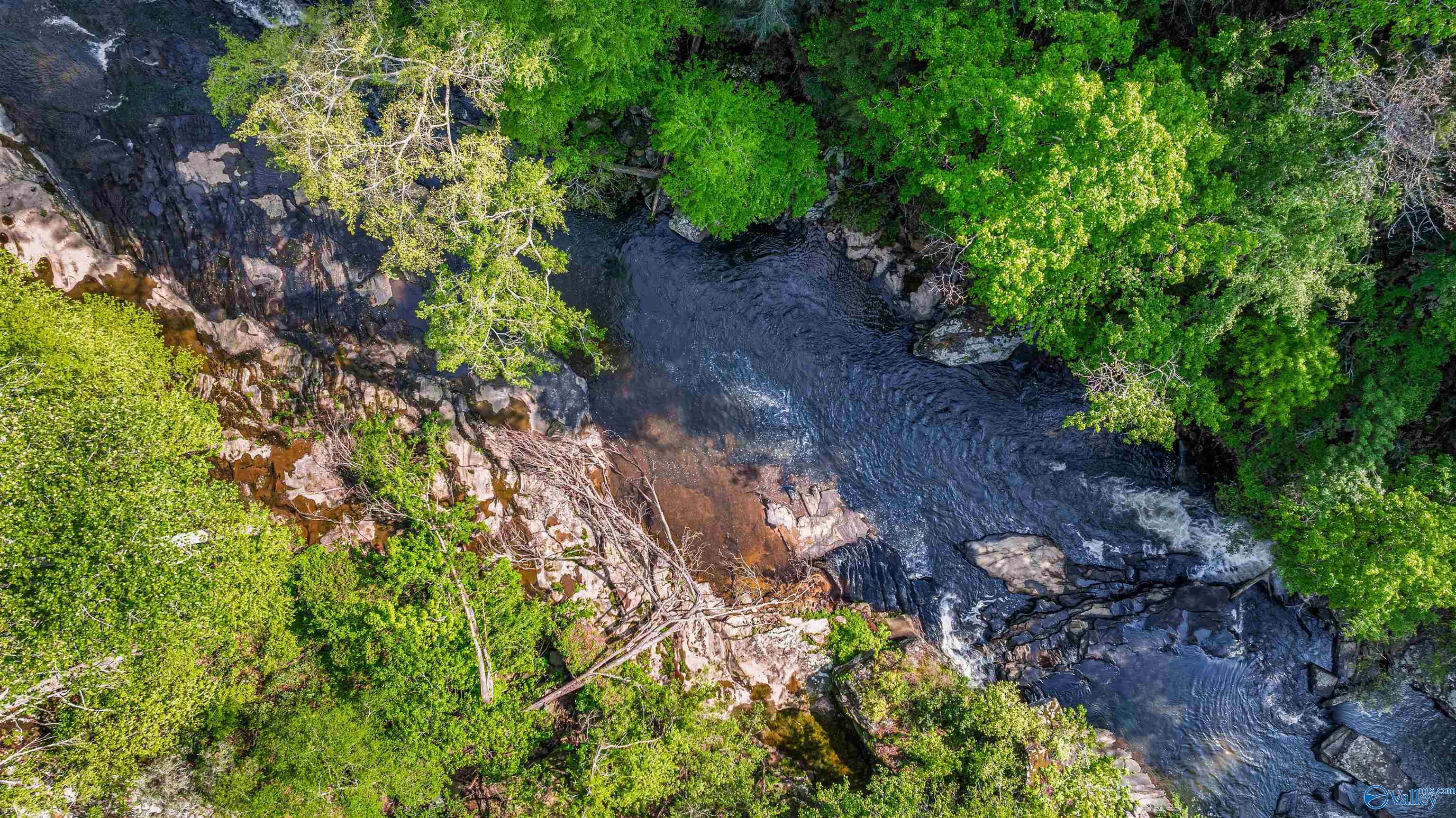 12 ACRES County Road 665, Pisgah, Alabama image 7