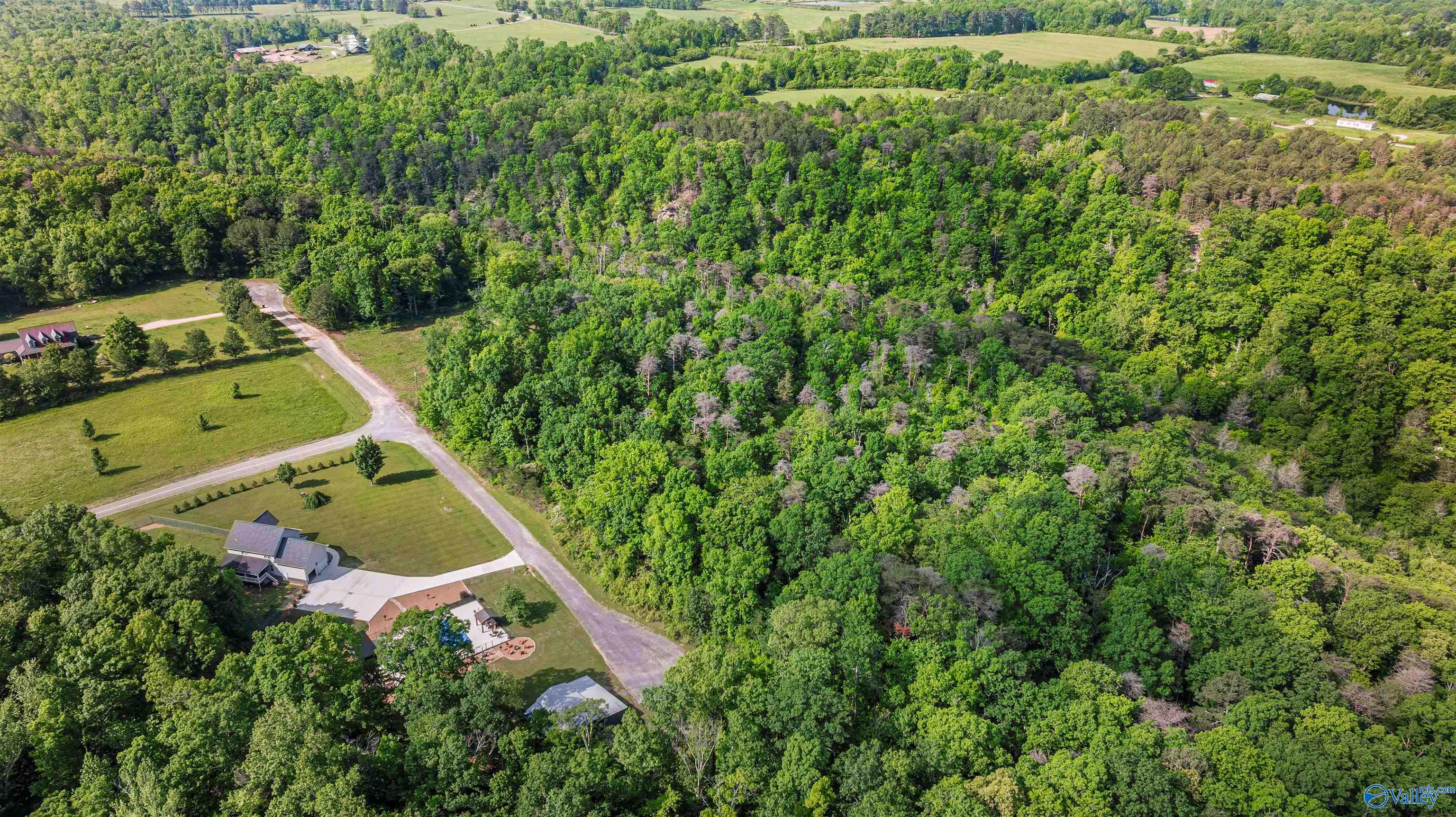 12 ACRES County Road 665, Pisgah, Alabama image 9