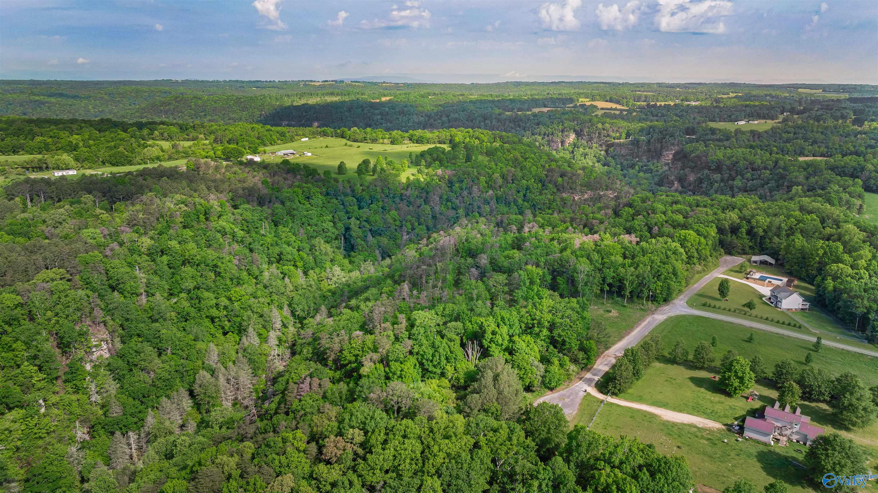 12 ACRES County Road 665, Pisgah, Alabama image 5
