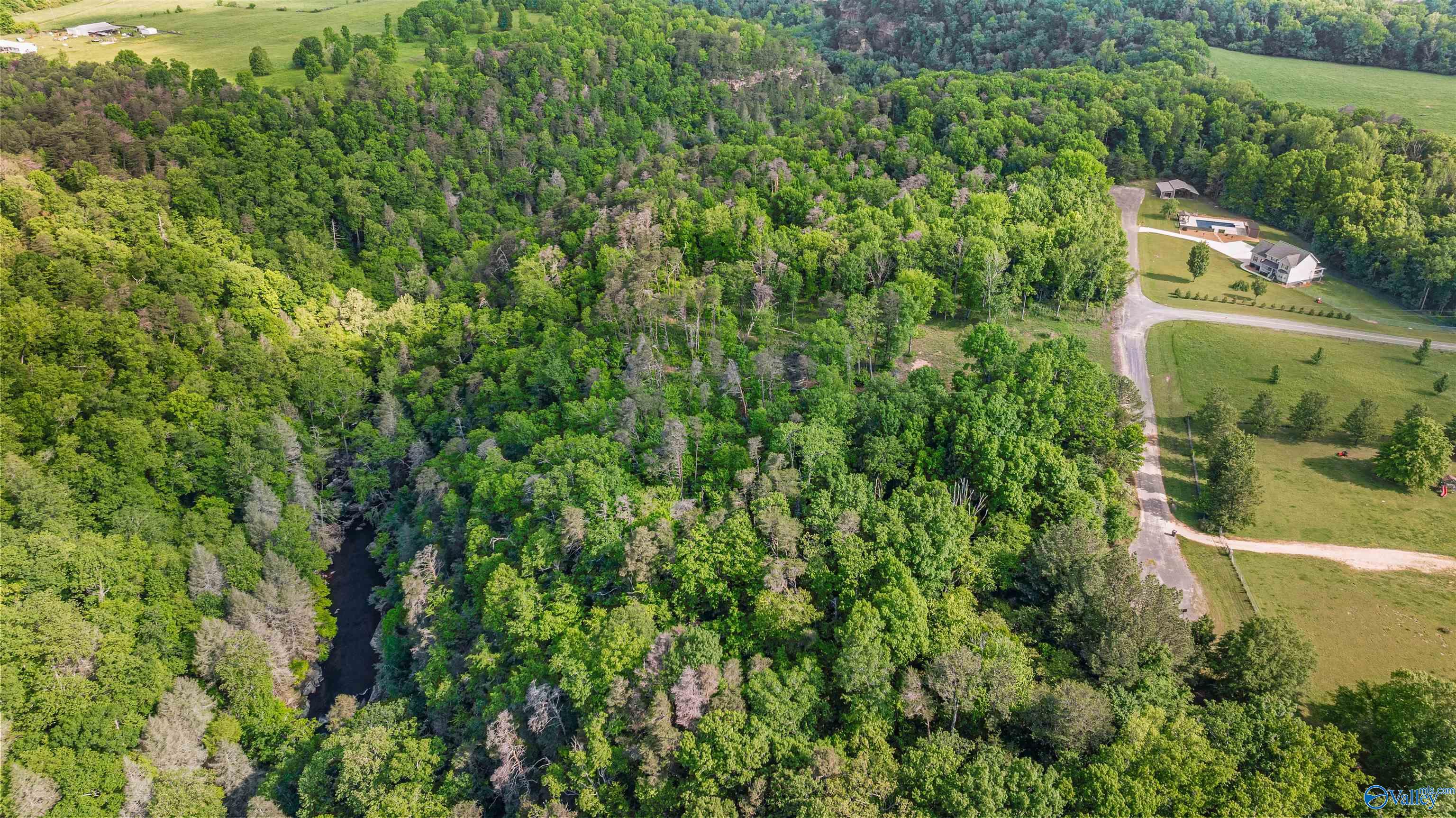 12 ACRES County Road 665, Pisgah, Alabama image 3