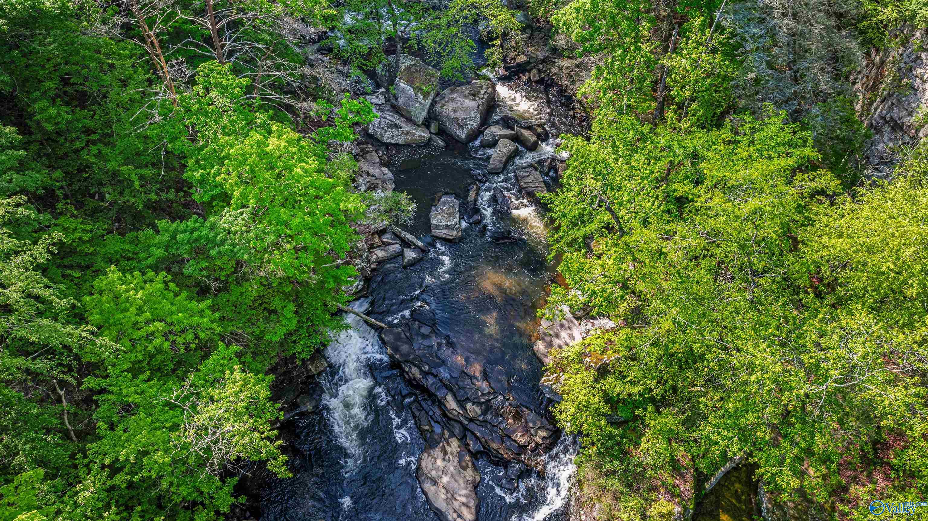 12 ACRES County Road 665, Pisgah, Alabama image 8