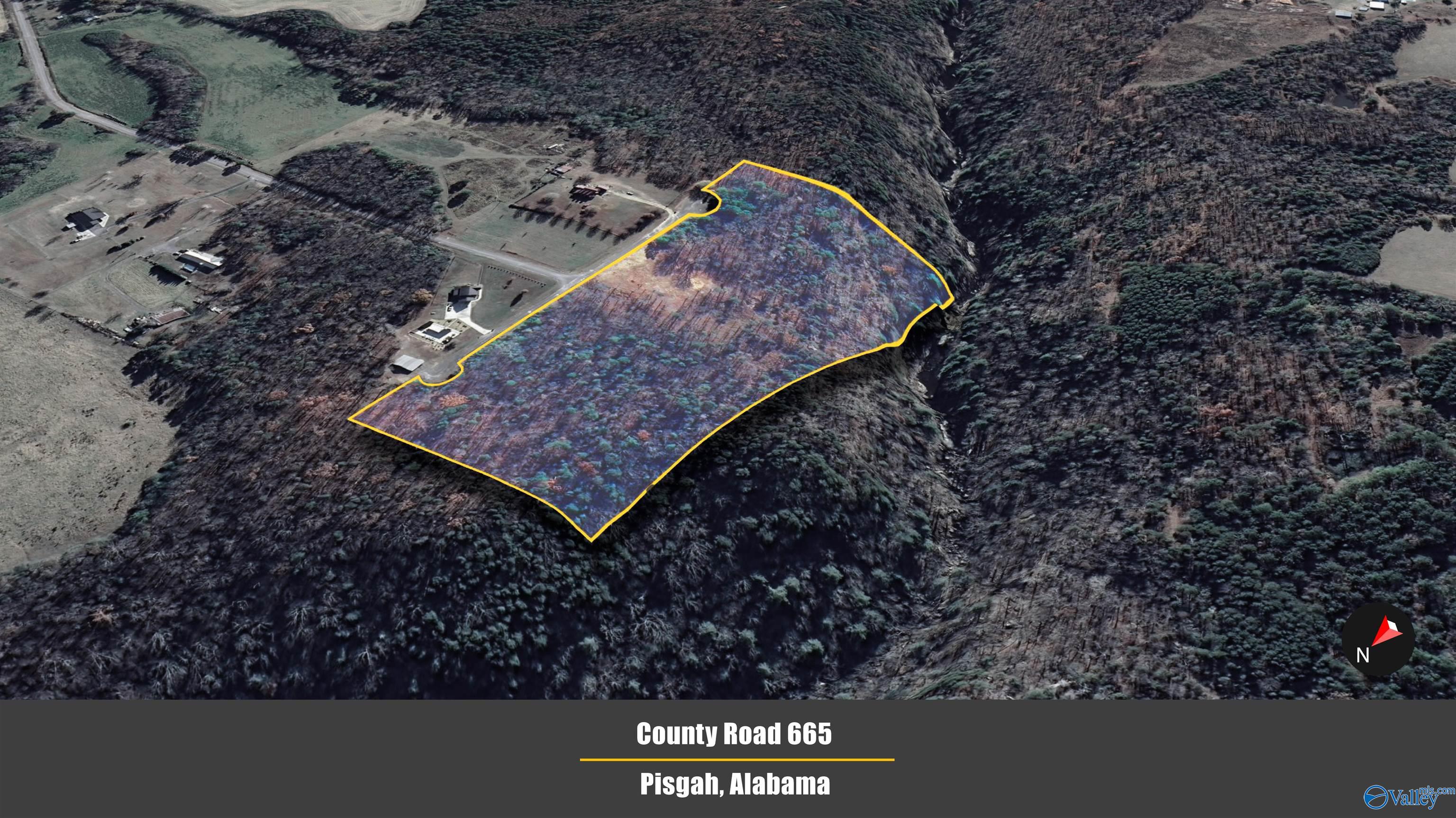 12 ACRES County Road 665, Pisgah, Alabama image 15