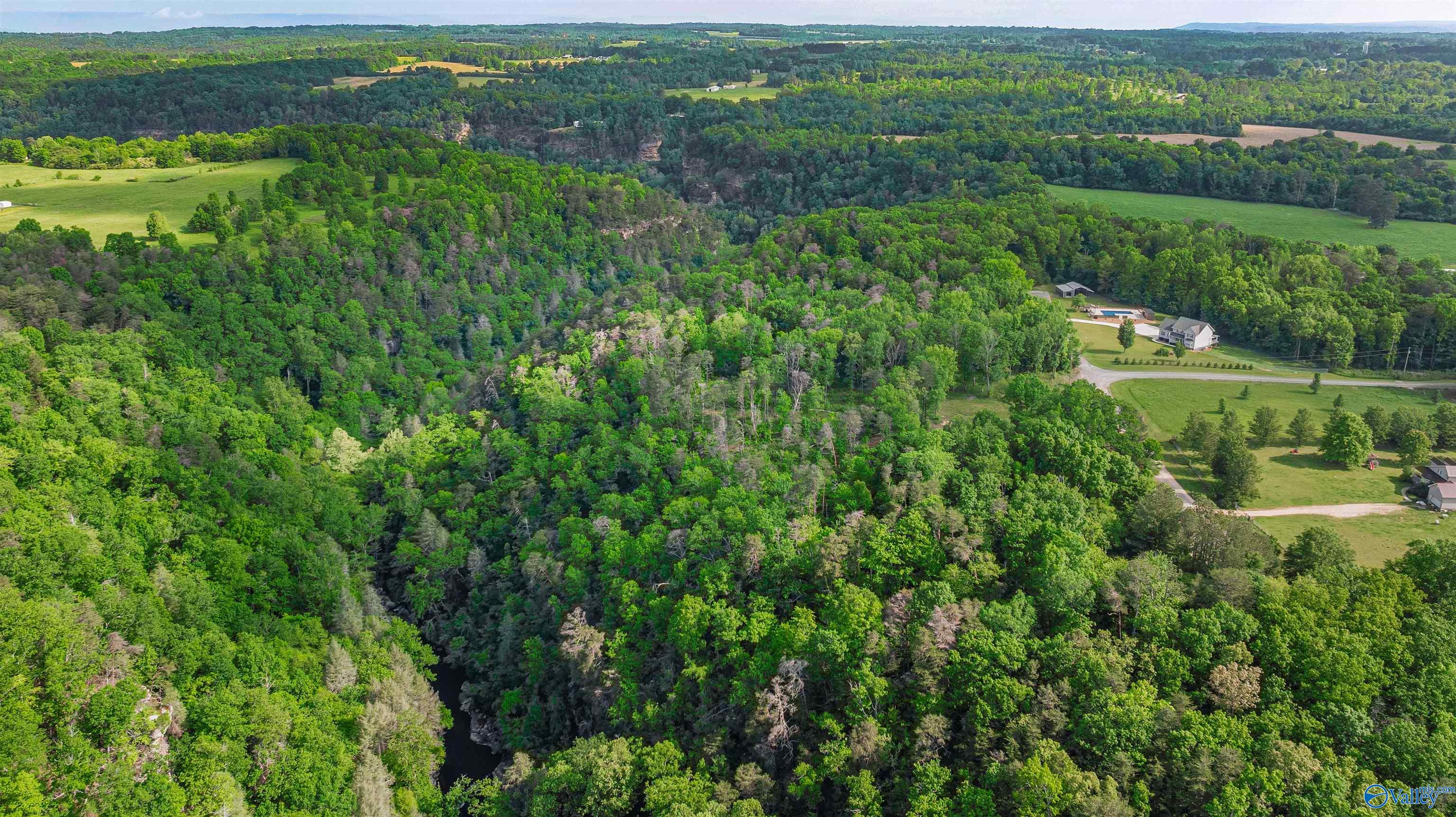 12 ACRES County Road 665, Pisgah, Alabama image 4