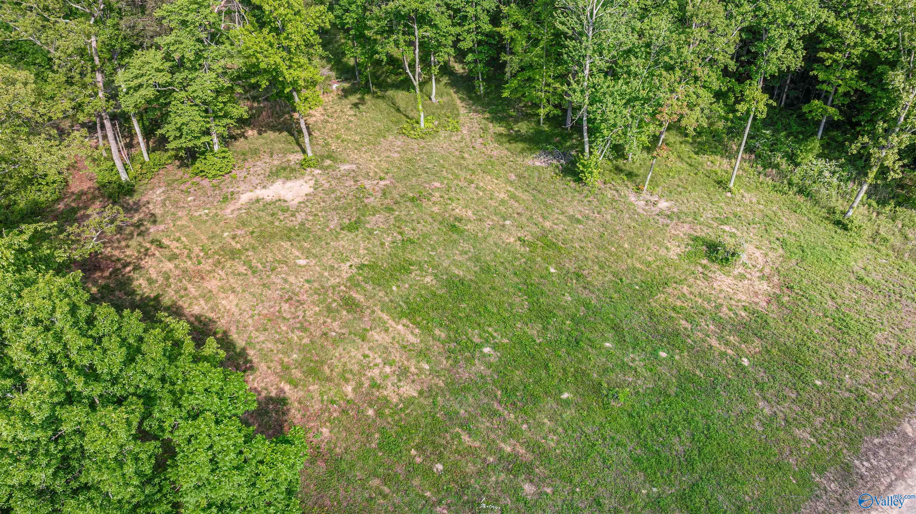 12 ACRES County Road 665, Pisgah, Alabama image 2