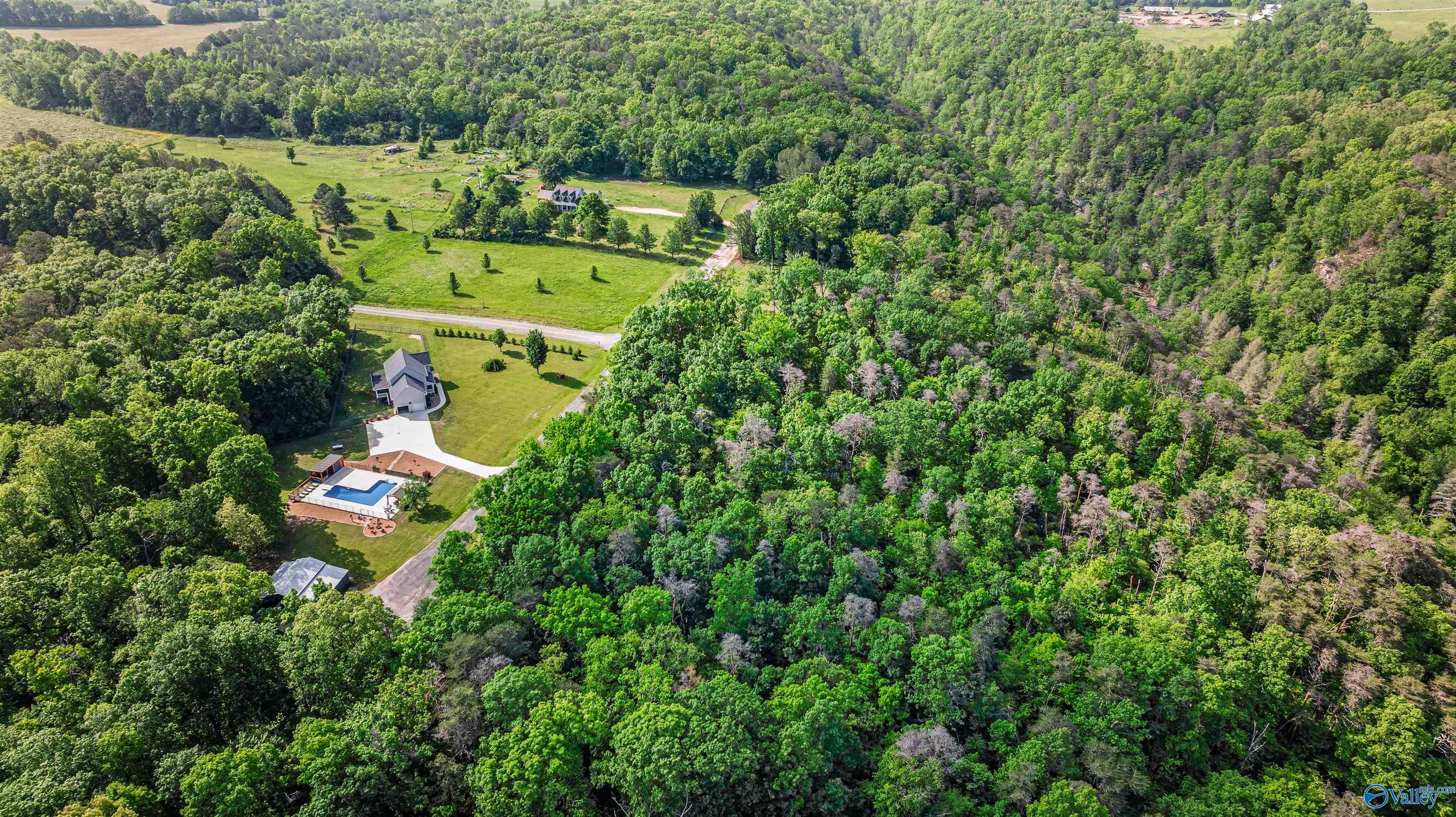 12 ACRES County Road 665, Pisgah, Alabama image 11