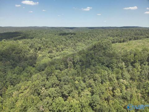 Vacant Land For Sale - 63 ACRES Stanley Road<br/> Tuscaloosa County, Brookwood, AL 35444