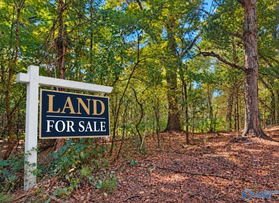 5431 OVERBROOK CIR, PINSON, AL 35126 - Image b83d6aef2e088fb9a9ef7e81974f0feb/3288450786