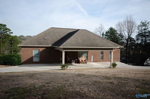 Photo of 277 County Road 172, Crane Hill, AL 35053 (MLS # 21910705)