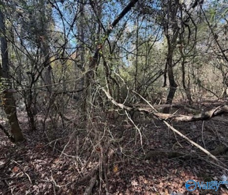 SOUTH ST E, ATHENS, AL 35611 - Image b84ae0125dbfec2a0551f873d7489045/403075924